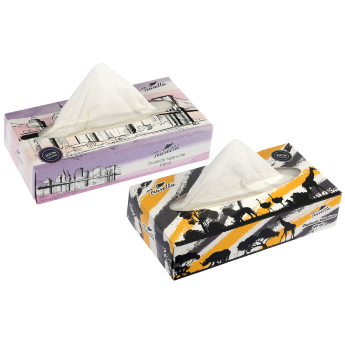 Chusteczki higieniczne 2-warstwowe box 100 szt. 10342