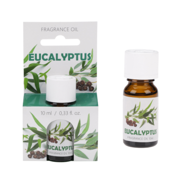 Olejek zapachowy 10 ml 96405 Eukaliptus